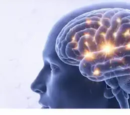 Illustration of brain activity